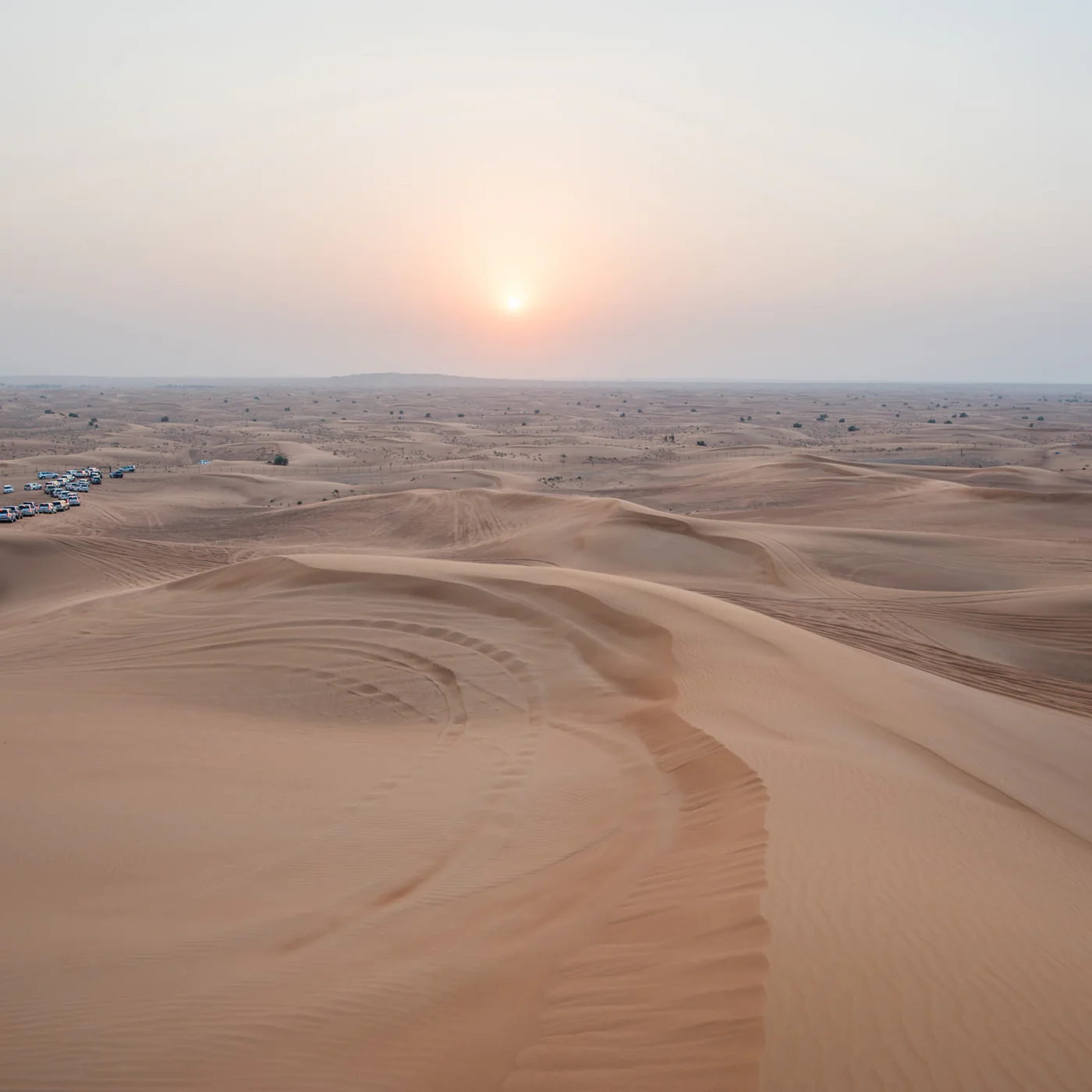 Future UAE Residents