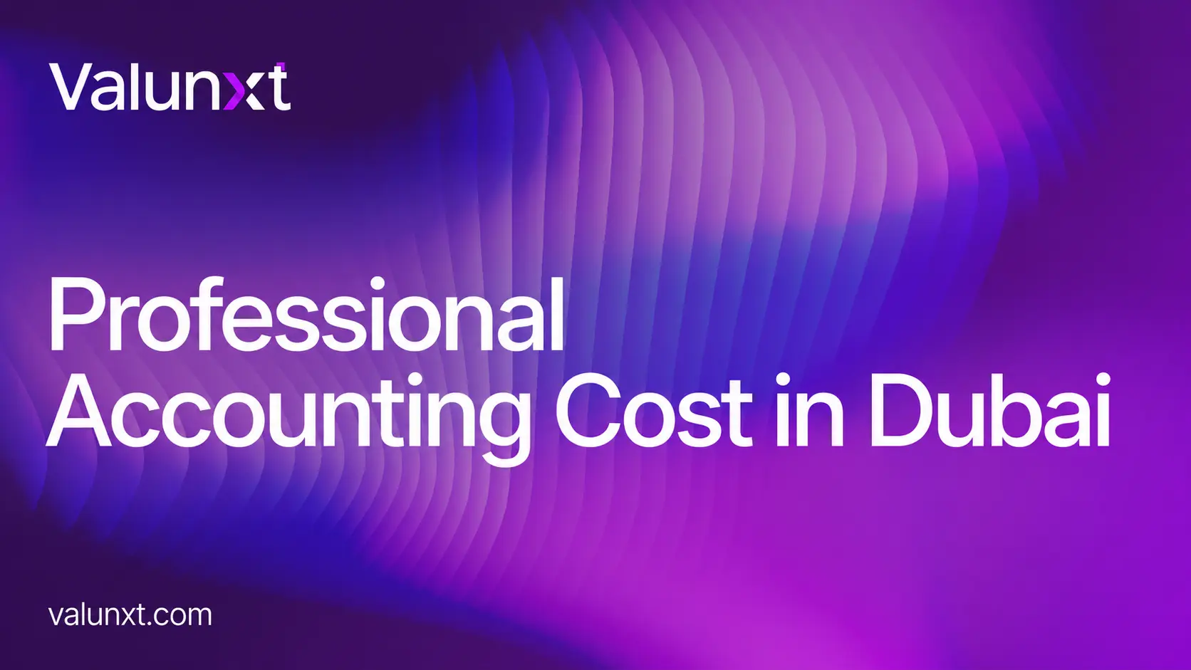 How Much Does Professional Accounting Cost in Dubai?
